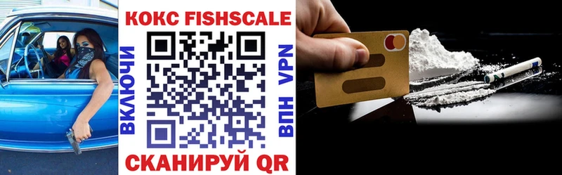 COCAIN Fish Scale  Купить закладки  Арск 