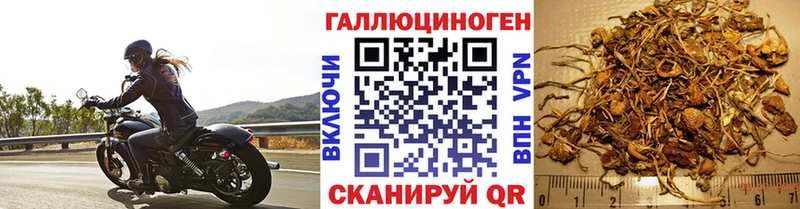 Купить закладки  Арск  Галлюциногенные грибы Cubensis 